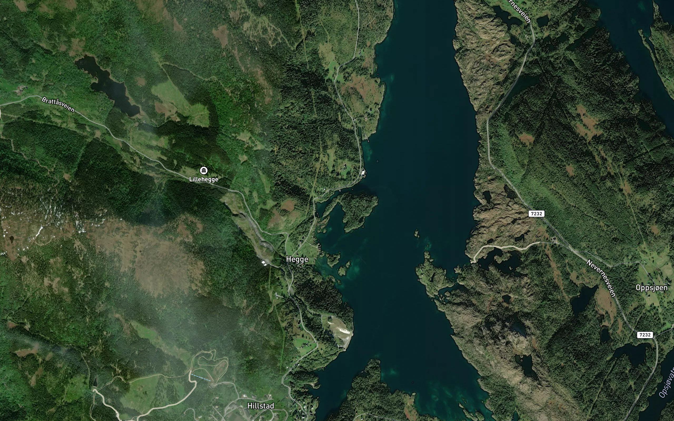 Grisvika