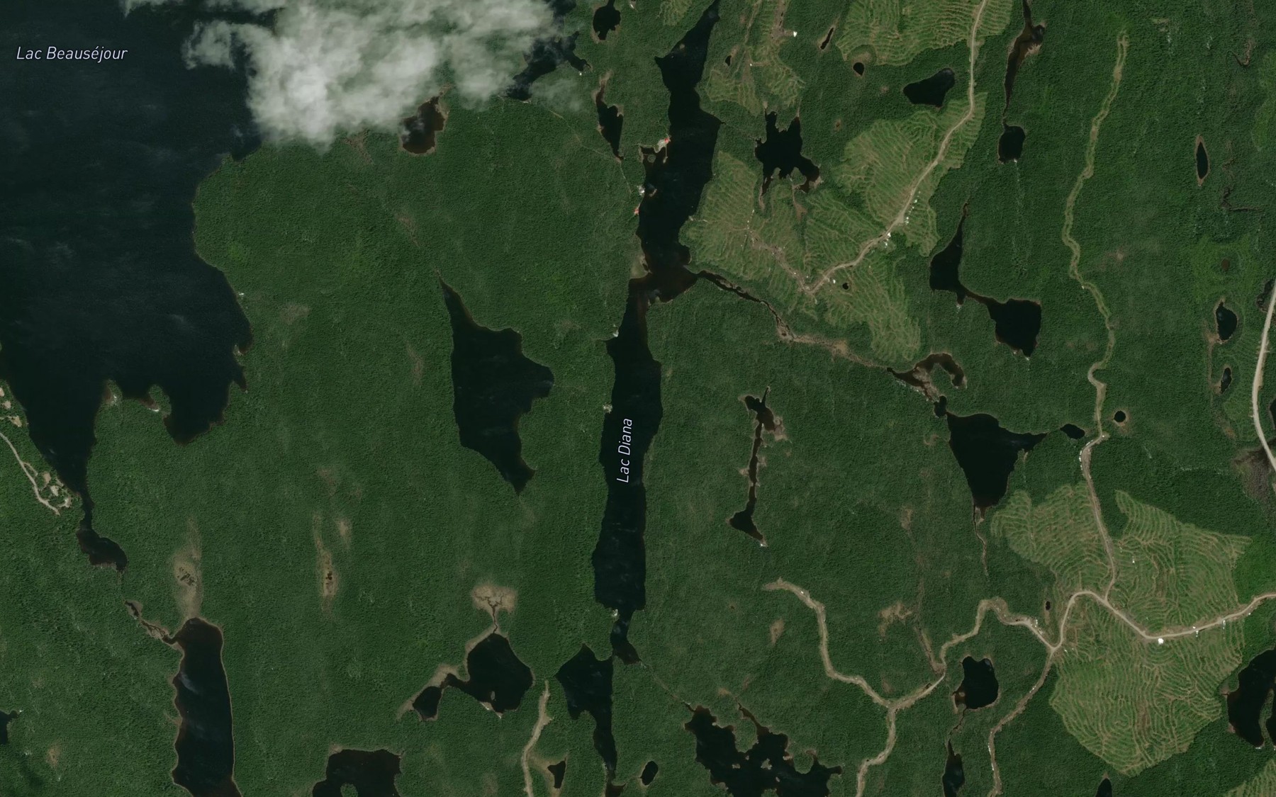 Satellite map of the Lac Diana