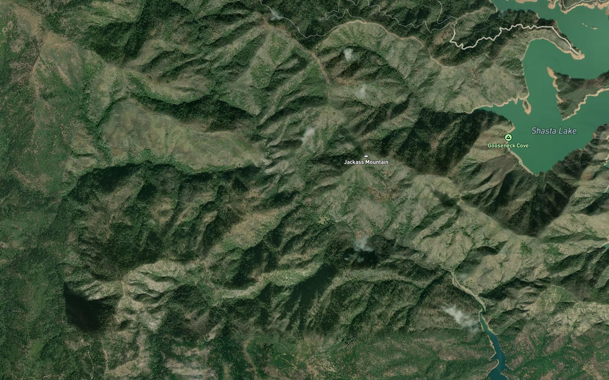 Jackass Creek