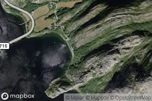 Roytvika