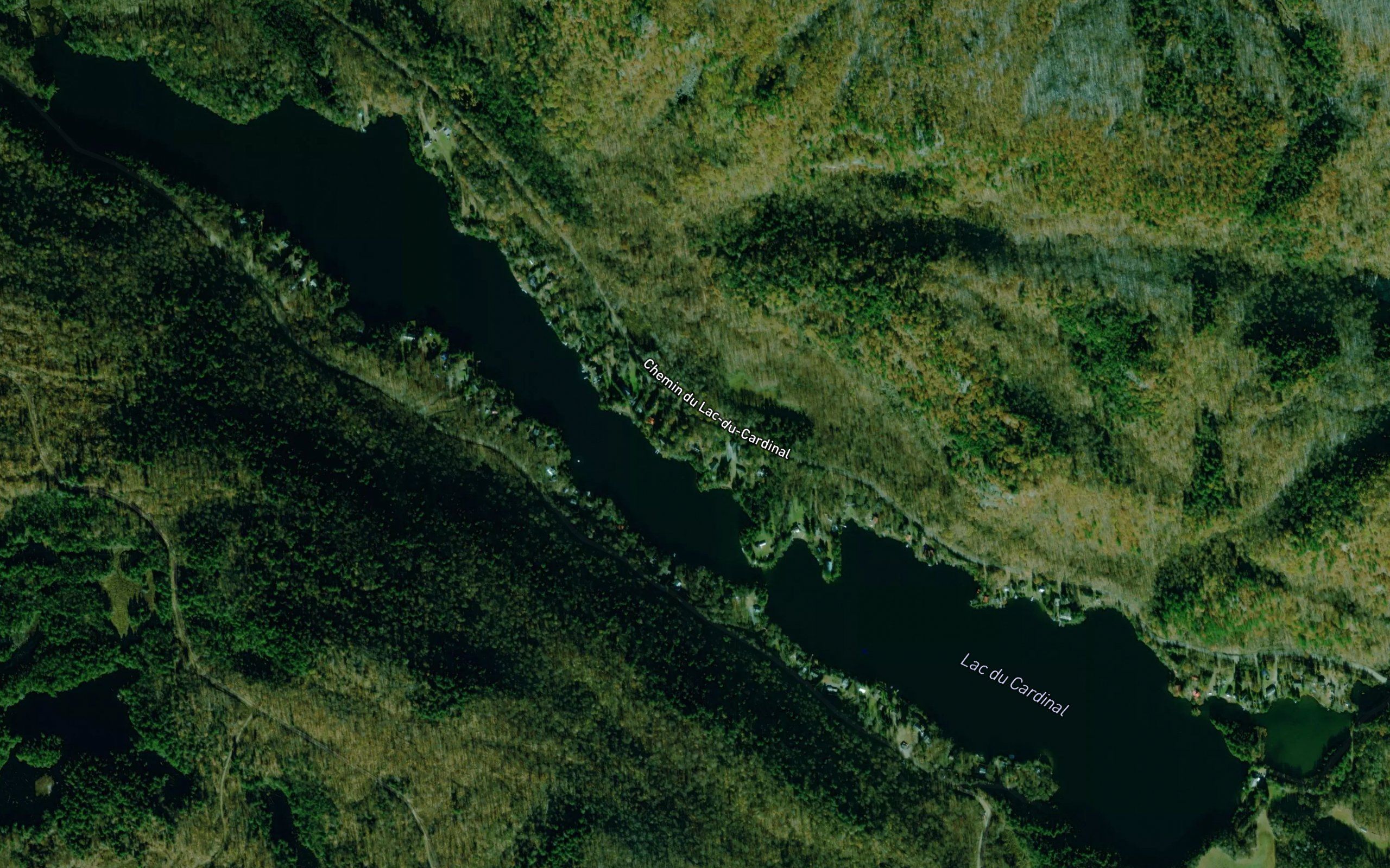 Lac du Cardinal