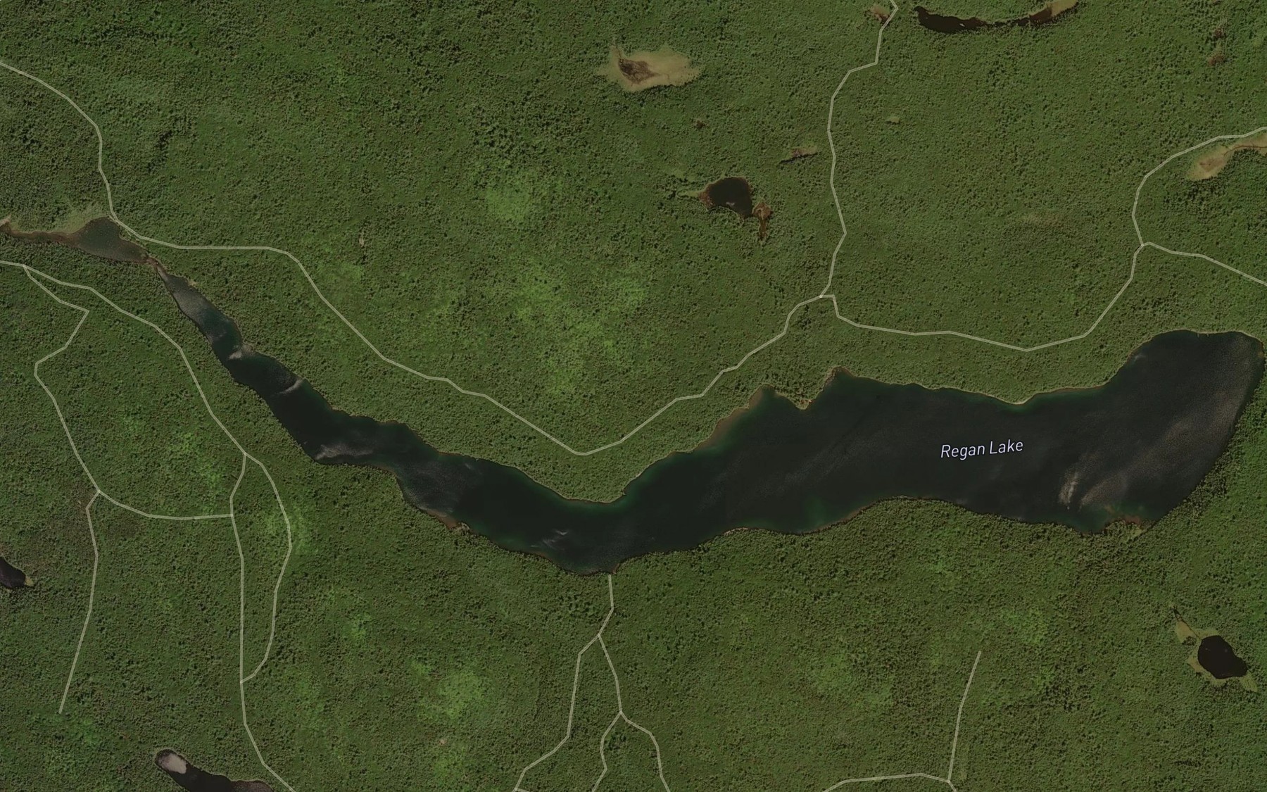 Satellite map of the Regan Lake