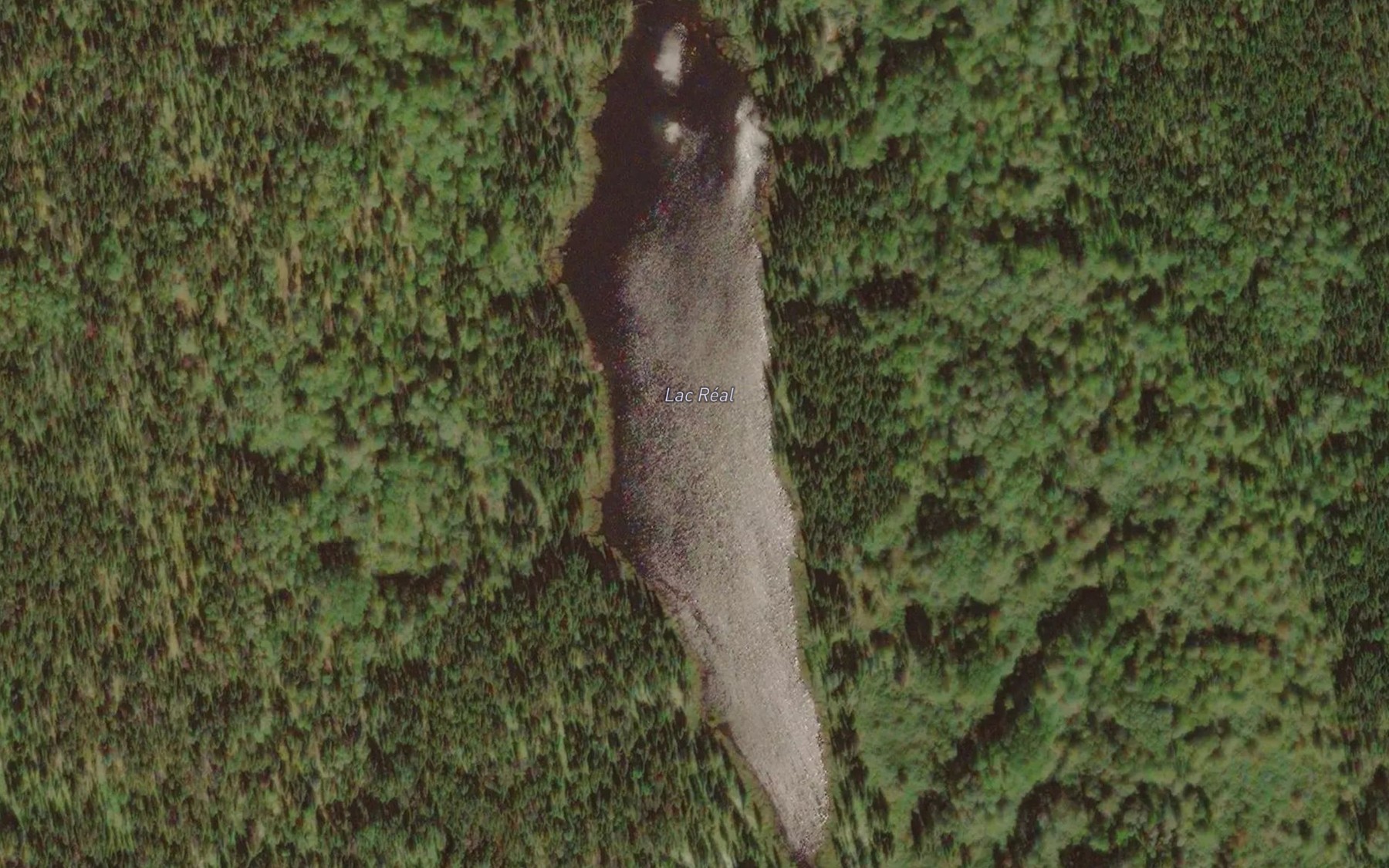 Satellite map of the Lac Real