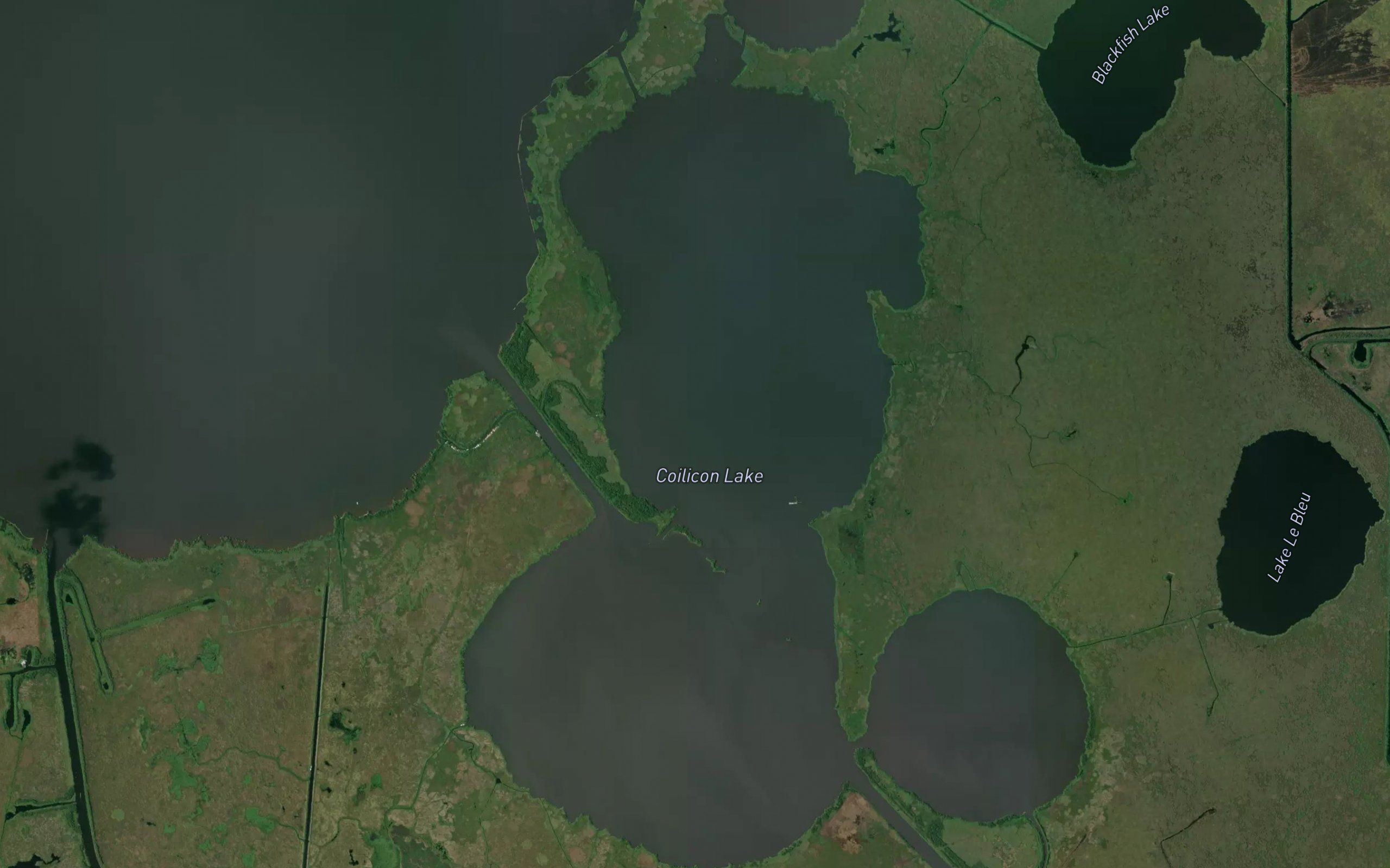 Southwest Bayou