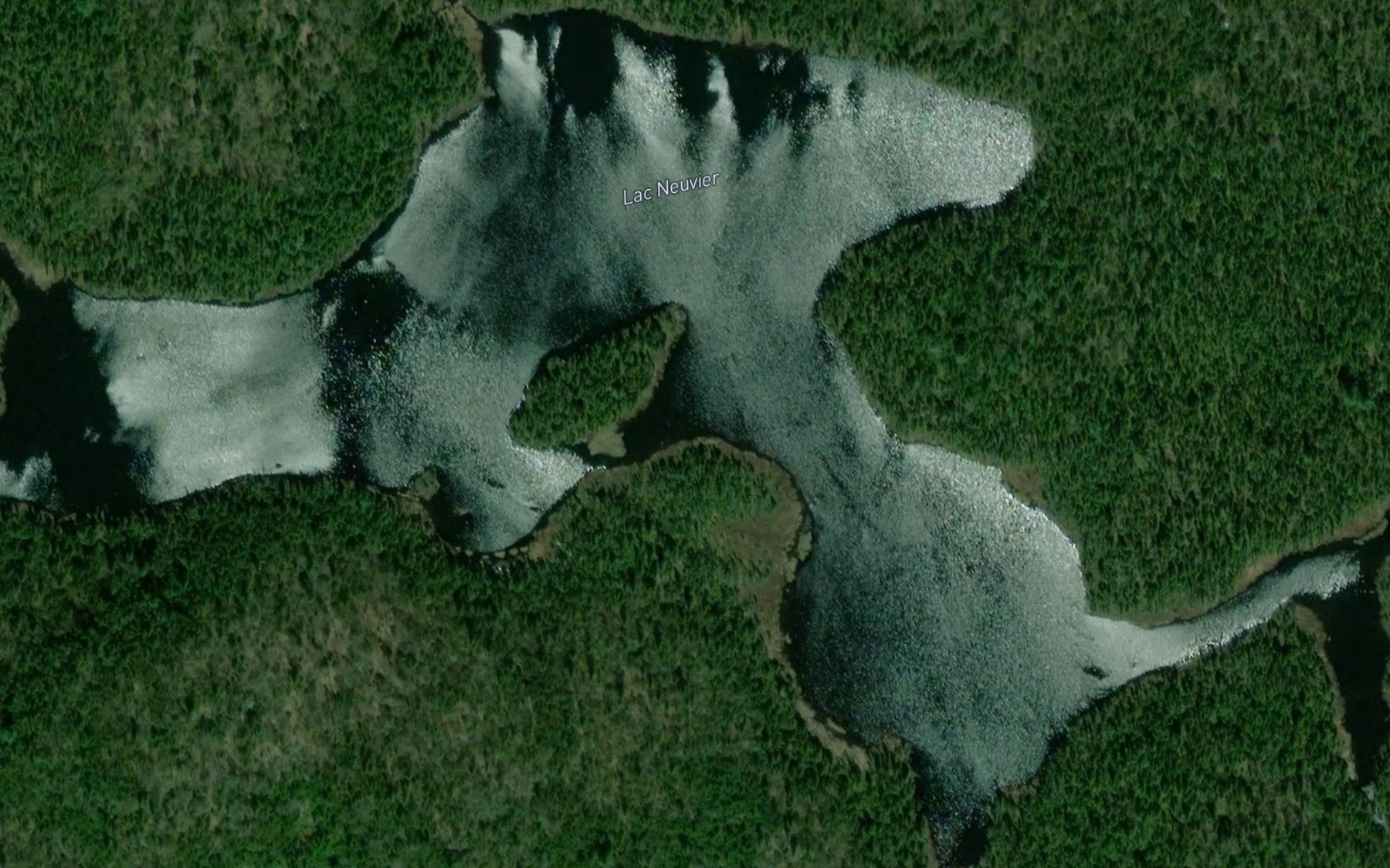 Satellite map of the Lac Neuvier