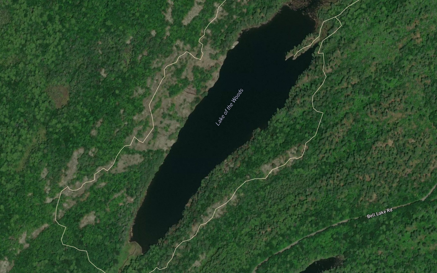 Satellite map of the Lake of the Woods