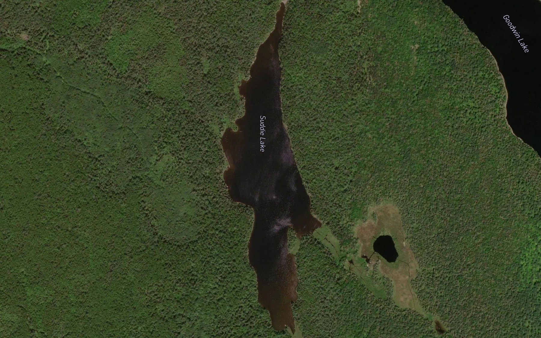 Satellite map of the Suddie Lake