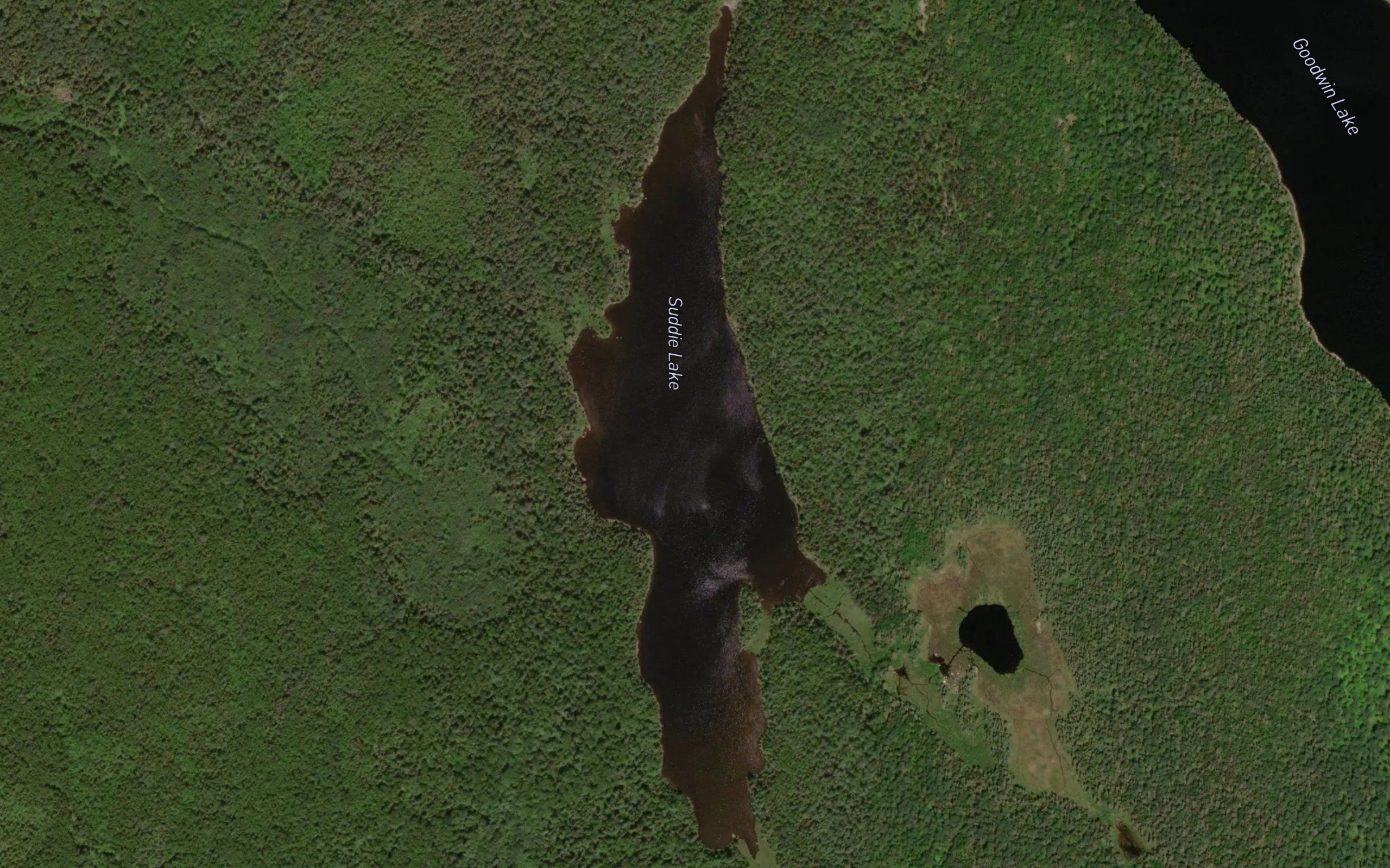 Suddie Lake