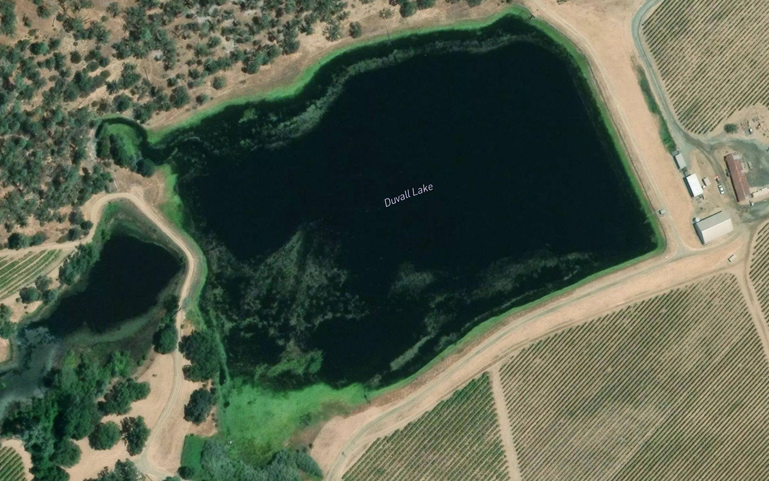 Duvall Lake