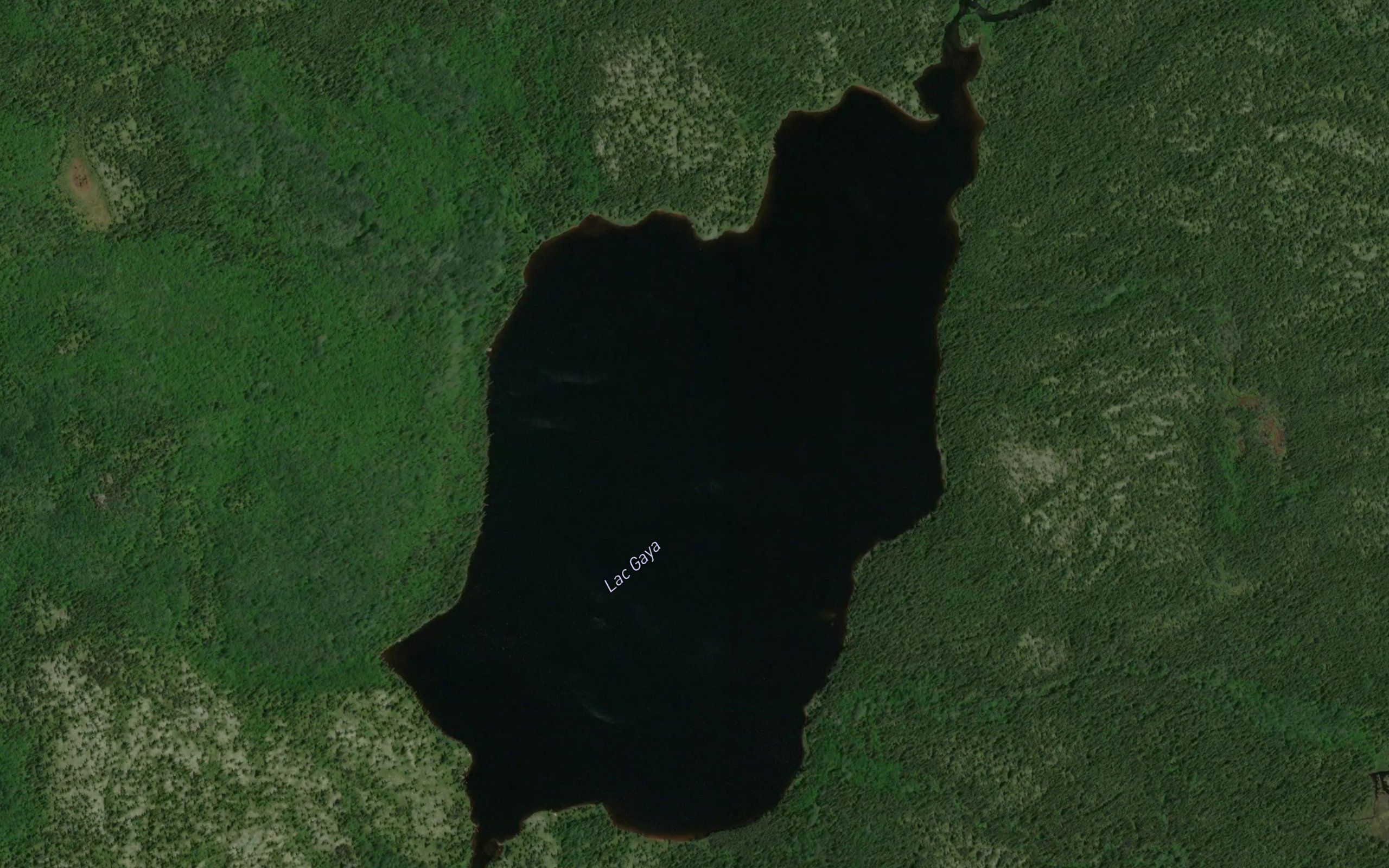 Lac Gaya