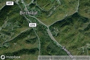 Tilda Anderson Branch