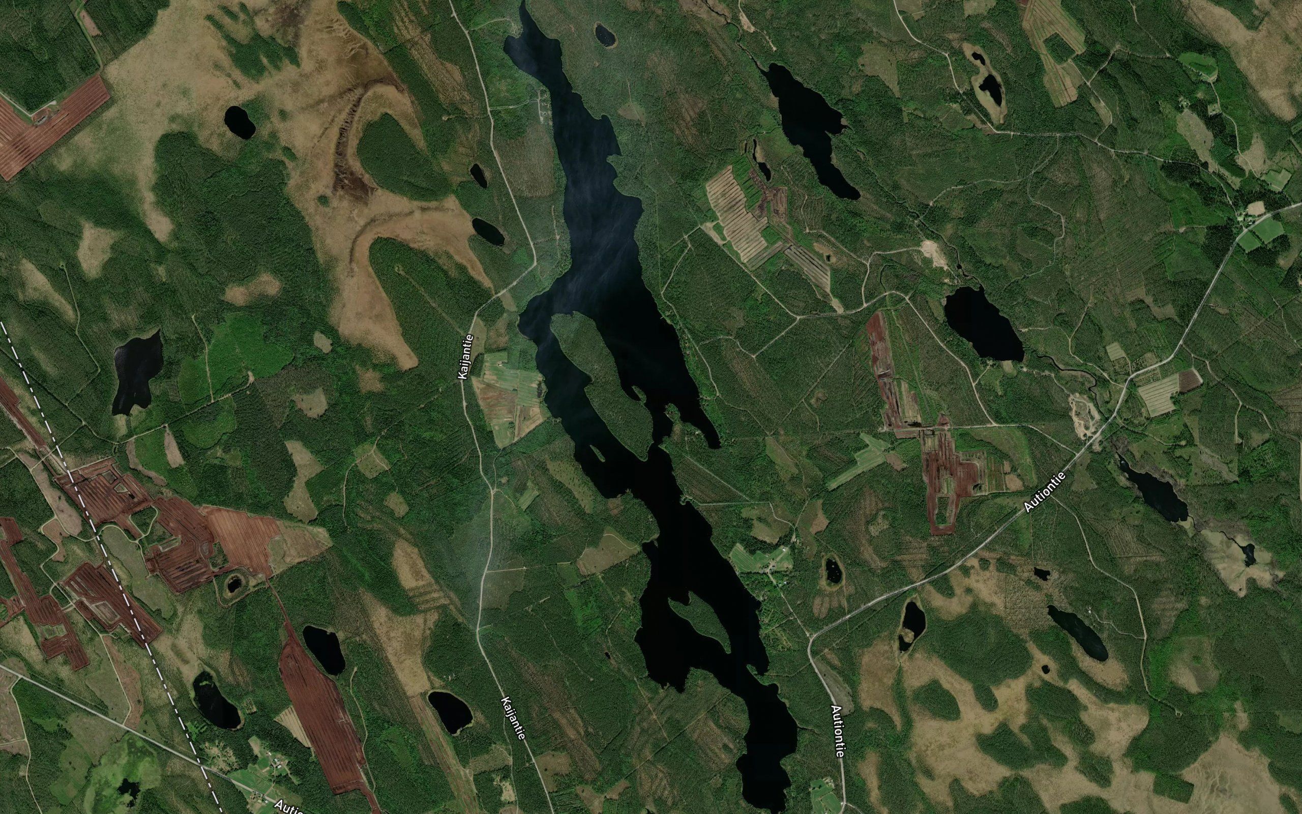 Vahvanen