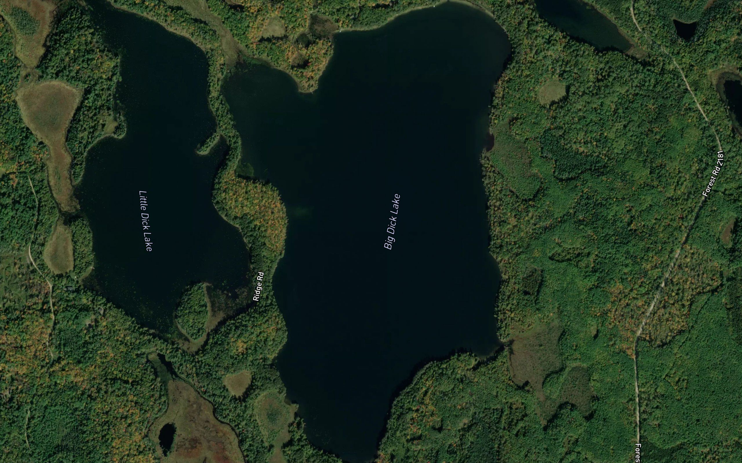 Big Dick Lake