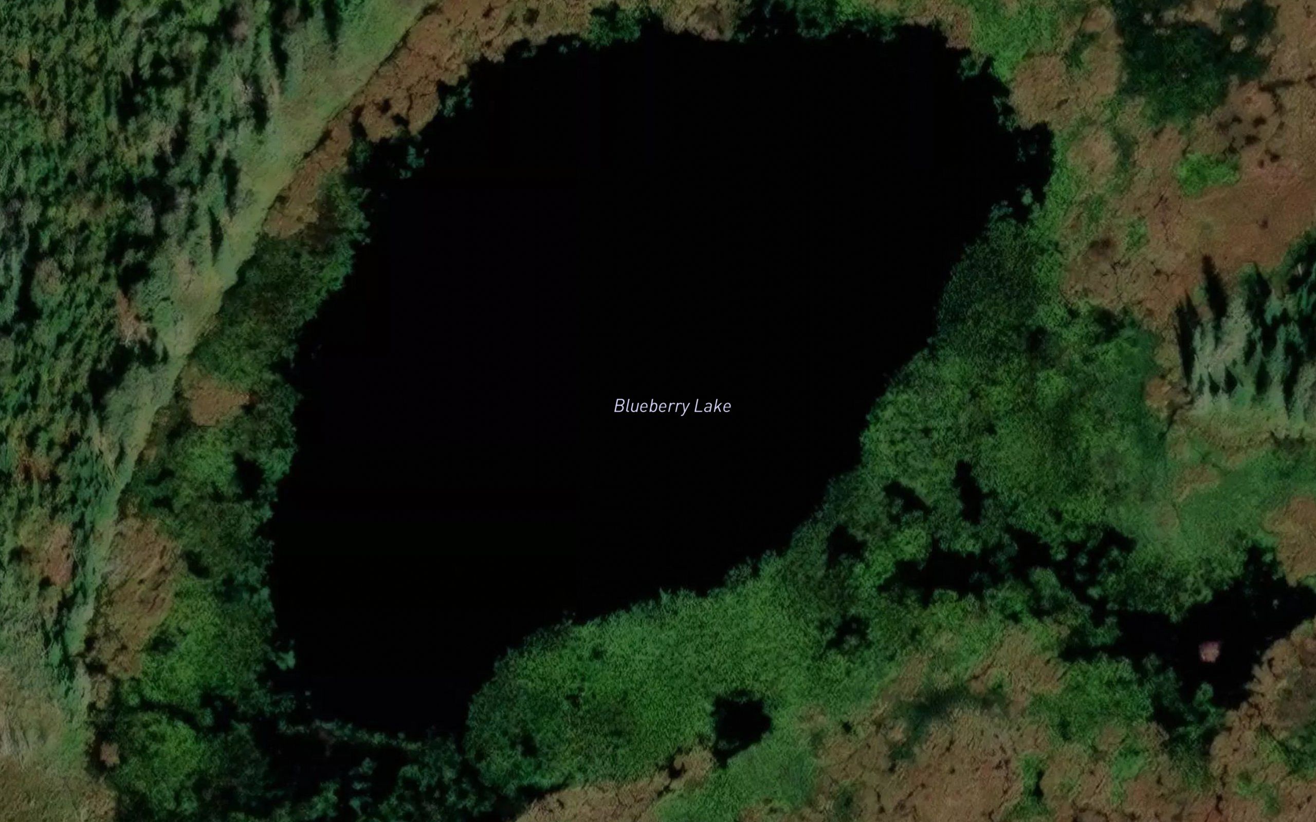 Blueberry Lake