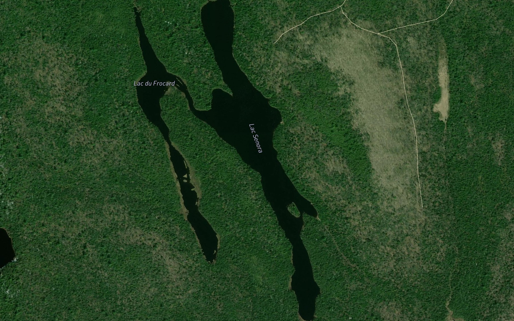 Satellite map of the Lac Senora