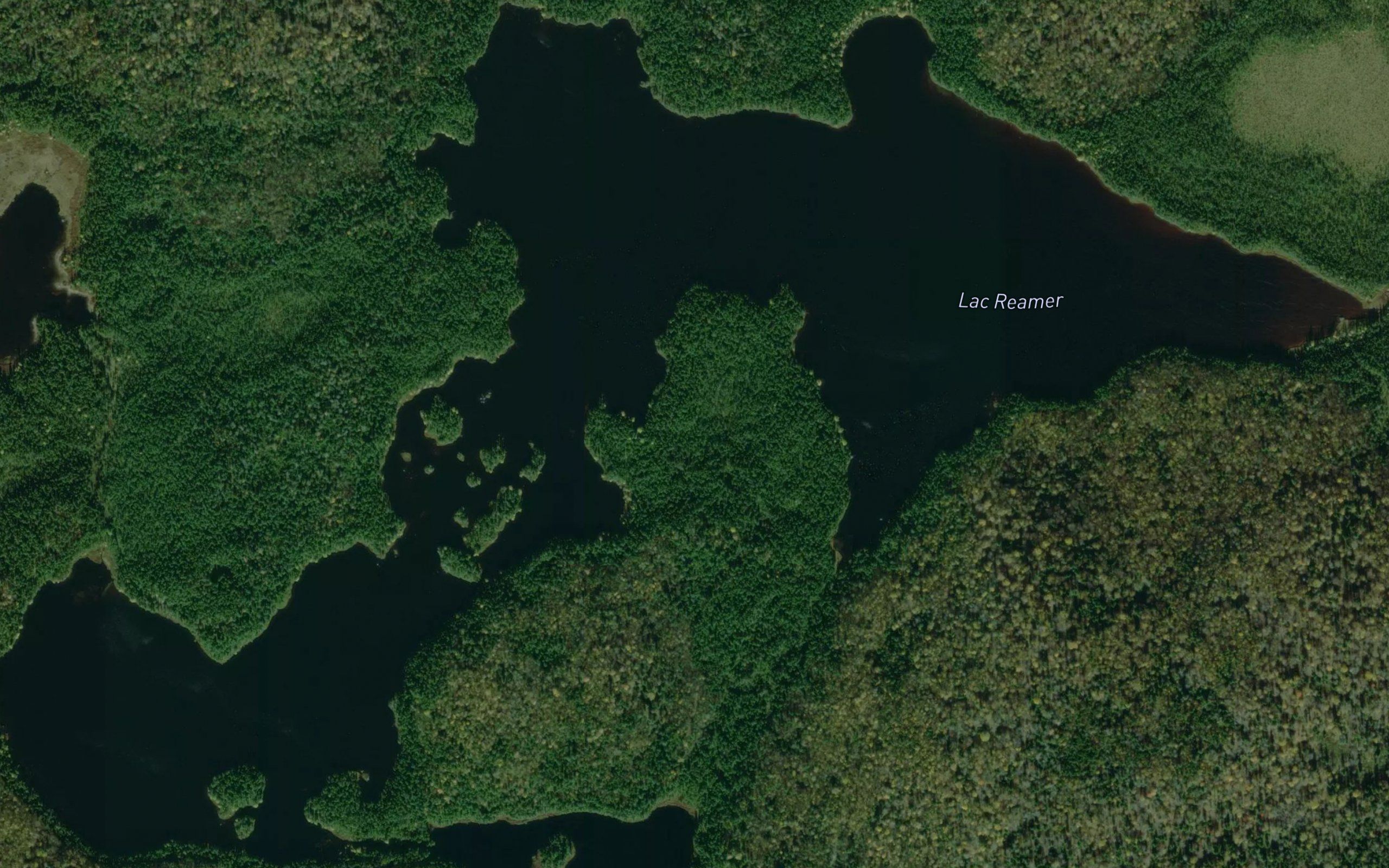 Lac Reamer