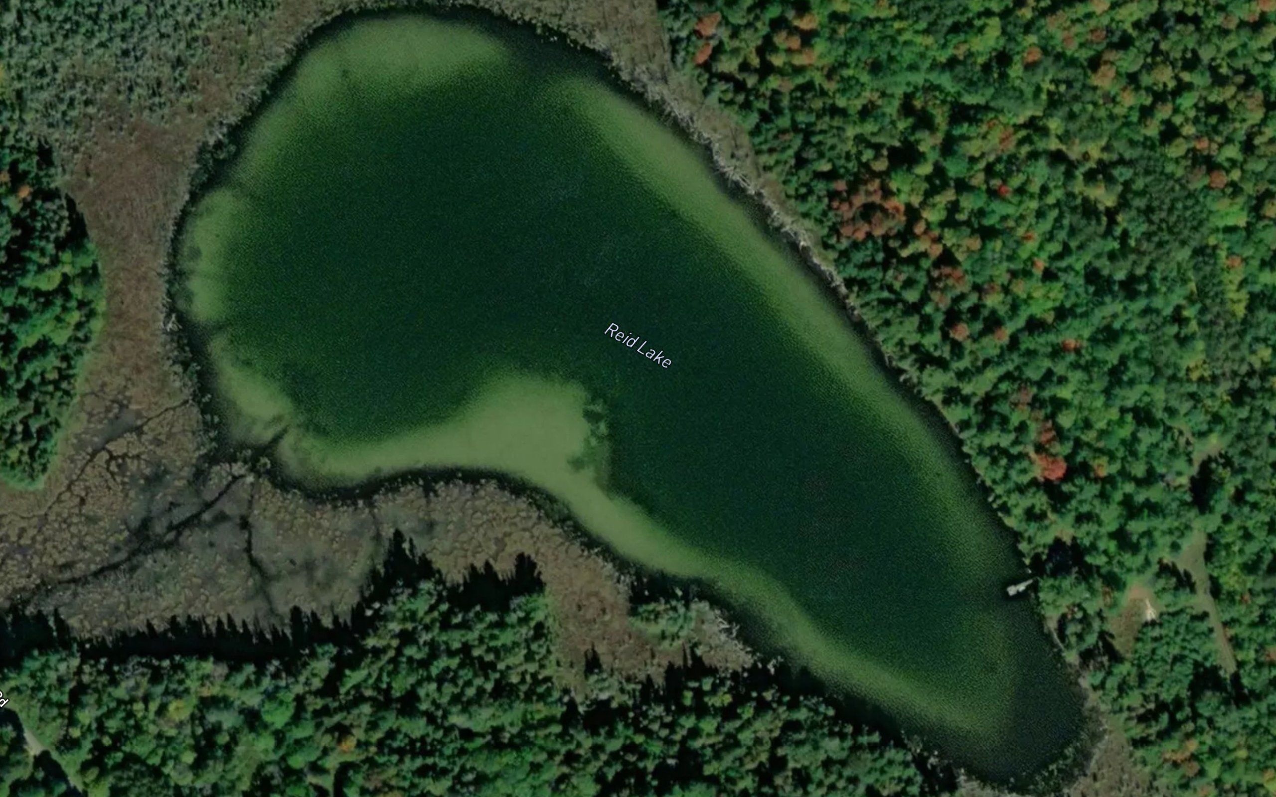 Reid Lake
