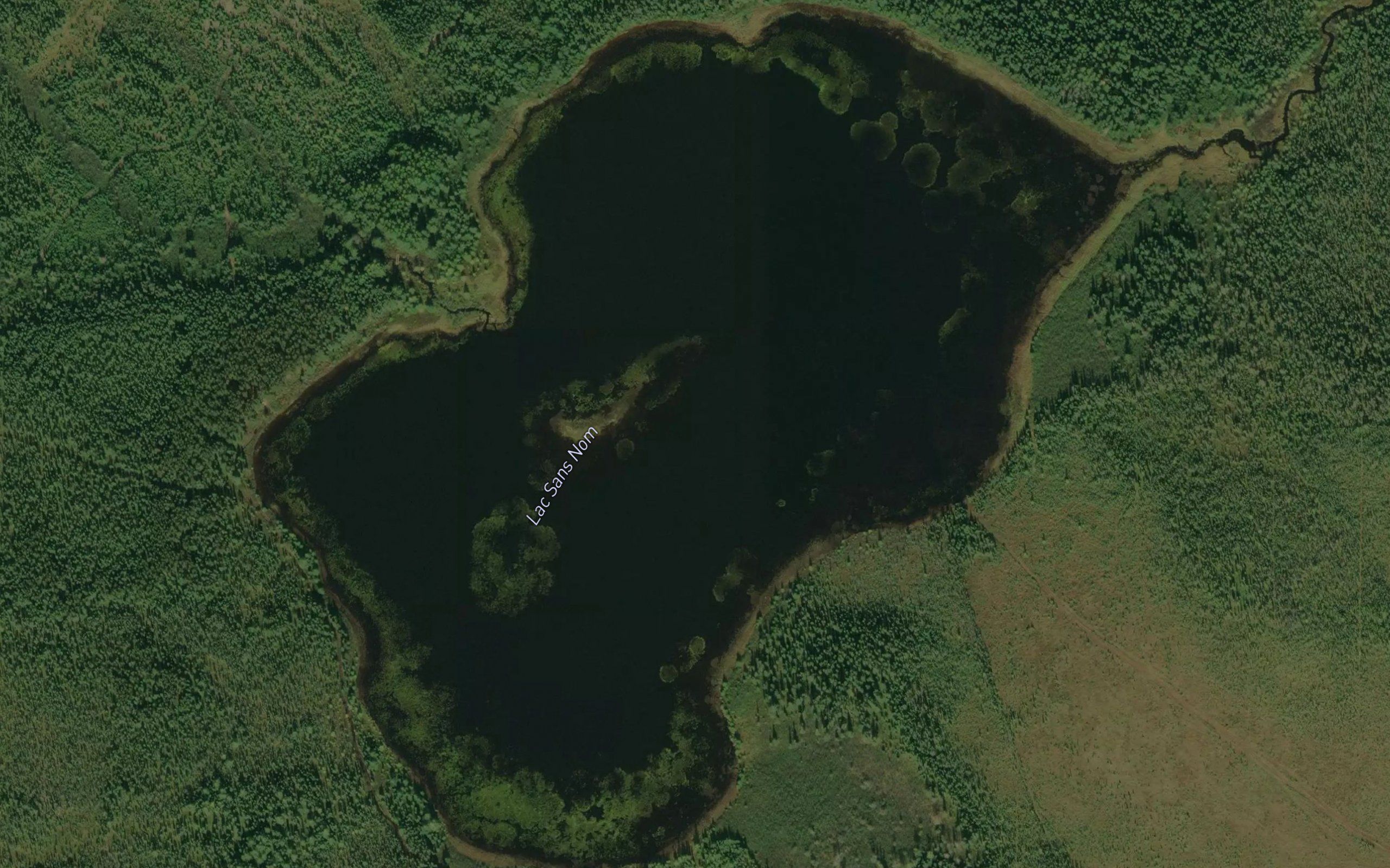 Lac Sans Nom