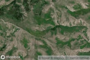 Wildcat Spring Number Two