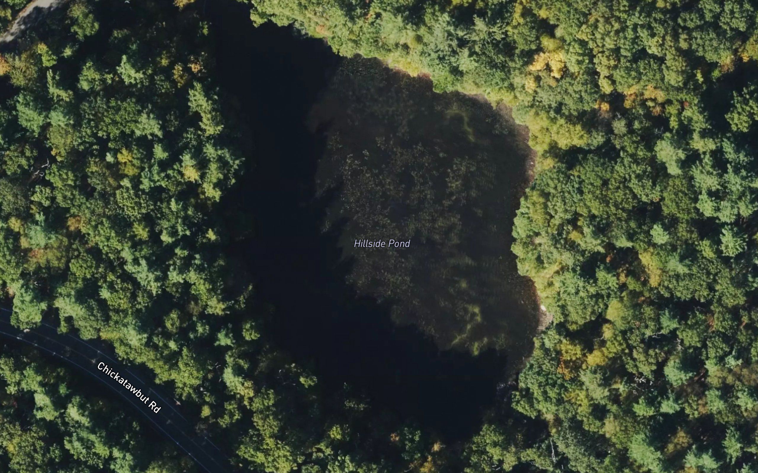 Hillside Pond