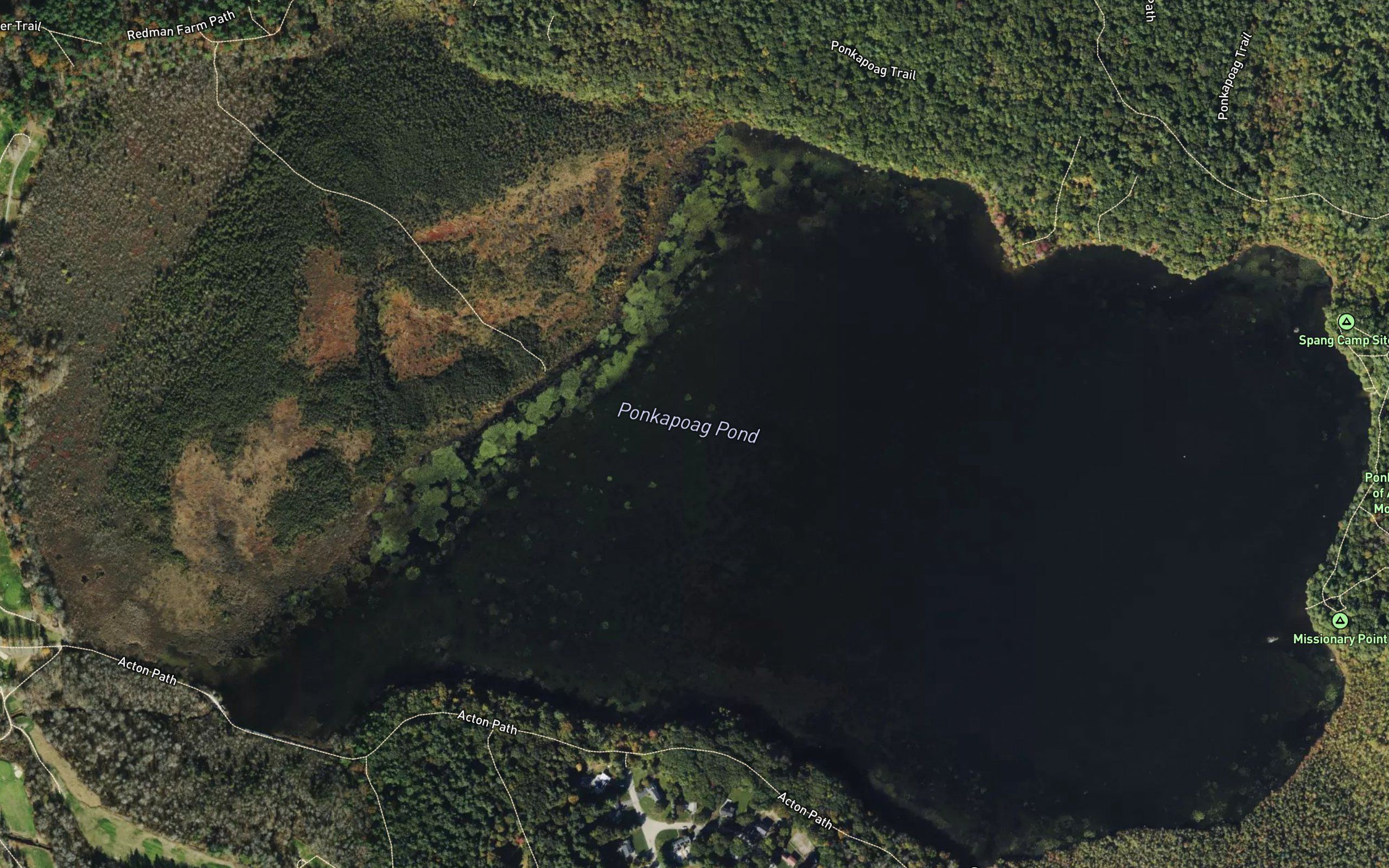 Ponkapoag Pond
