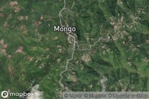 Salu Mongo