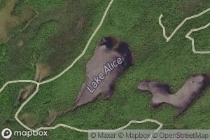 Lake Alice