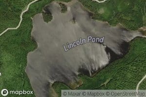 Lincoln Pond