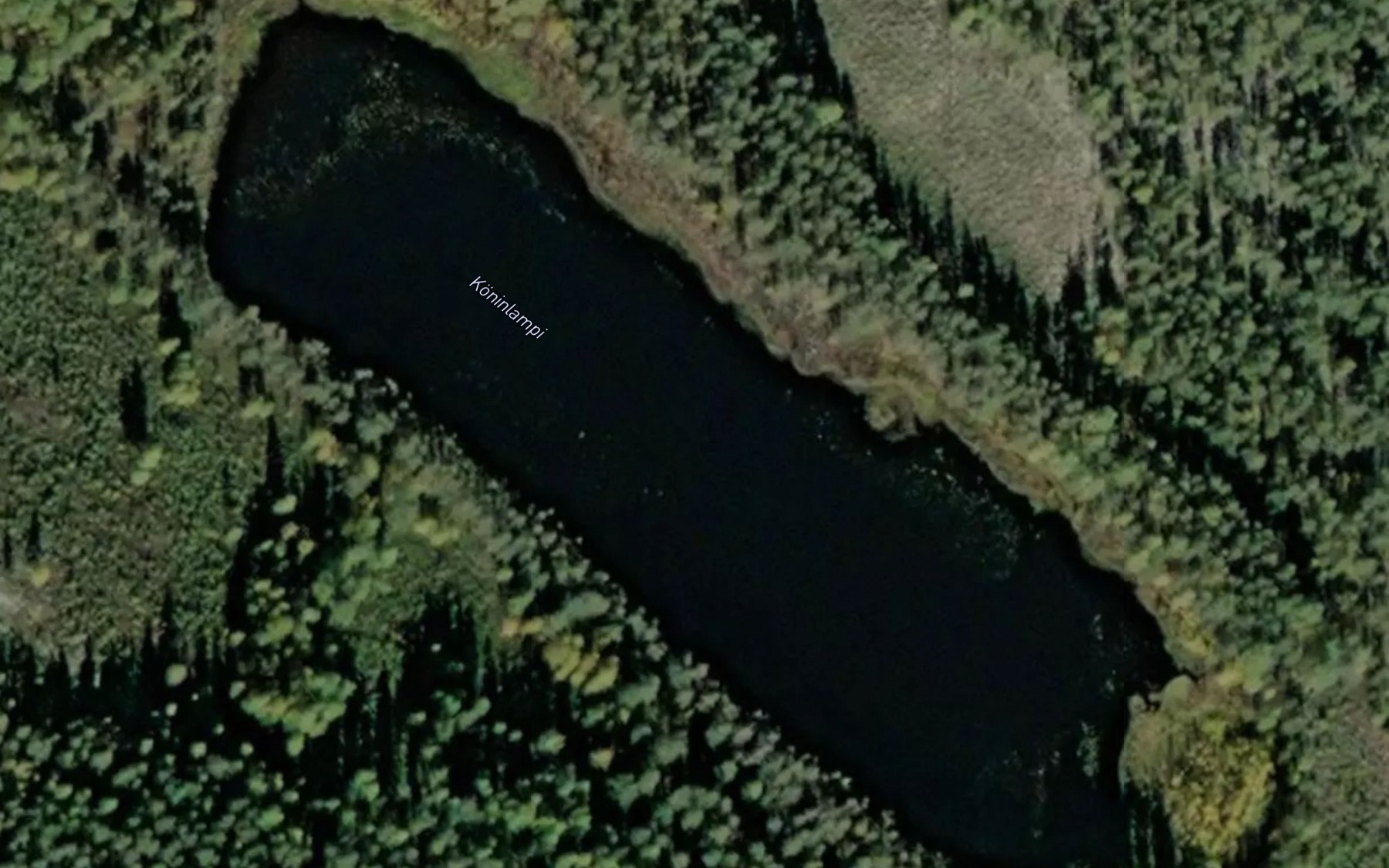 Satellite map of the Koninlampi