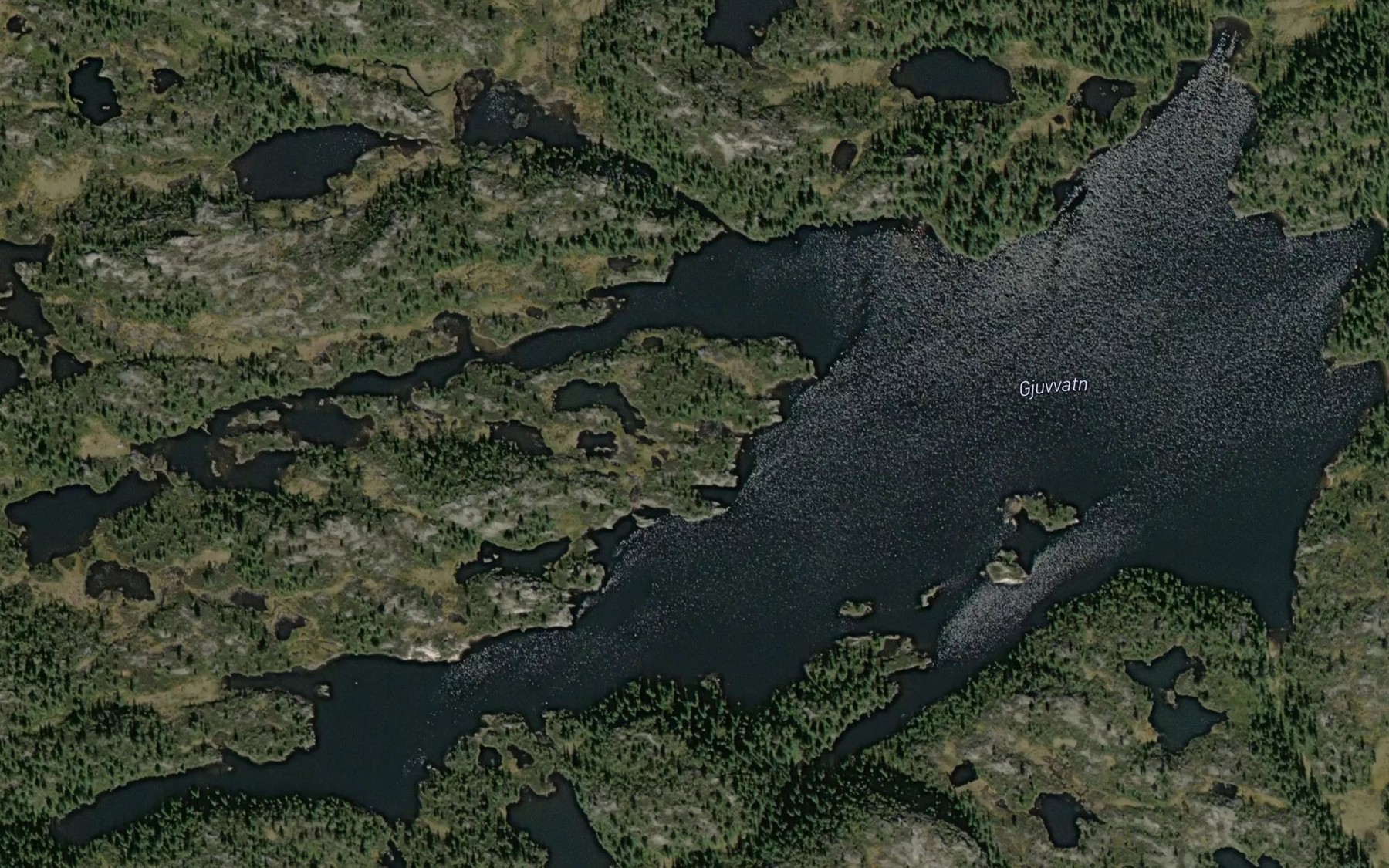 Satellite map of the Gjuvvatn