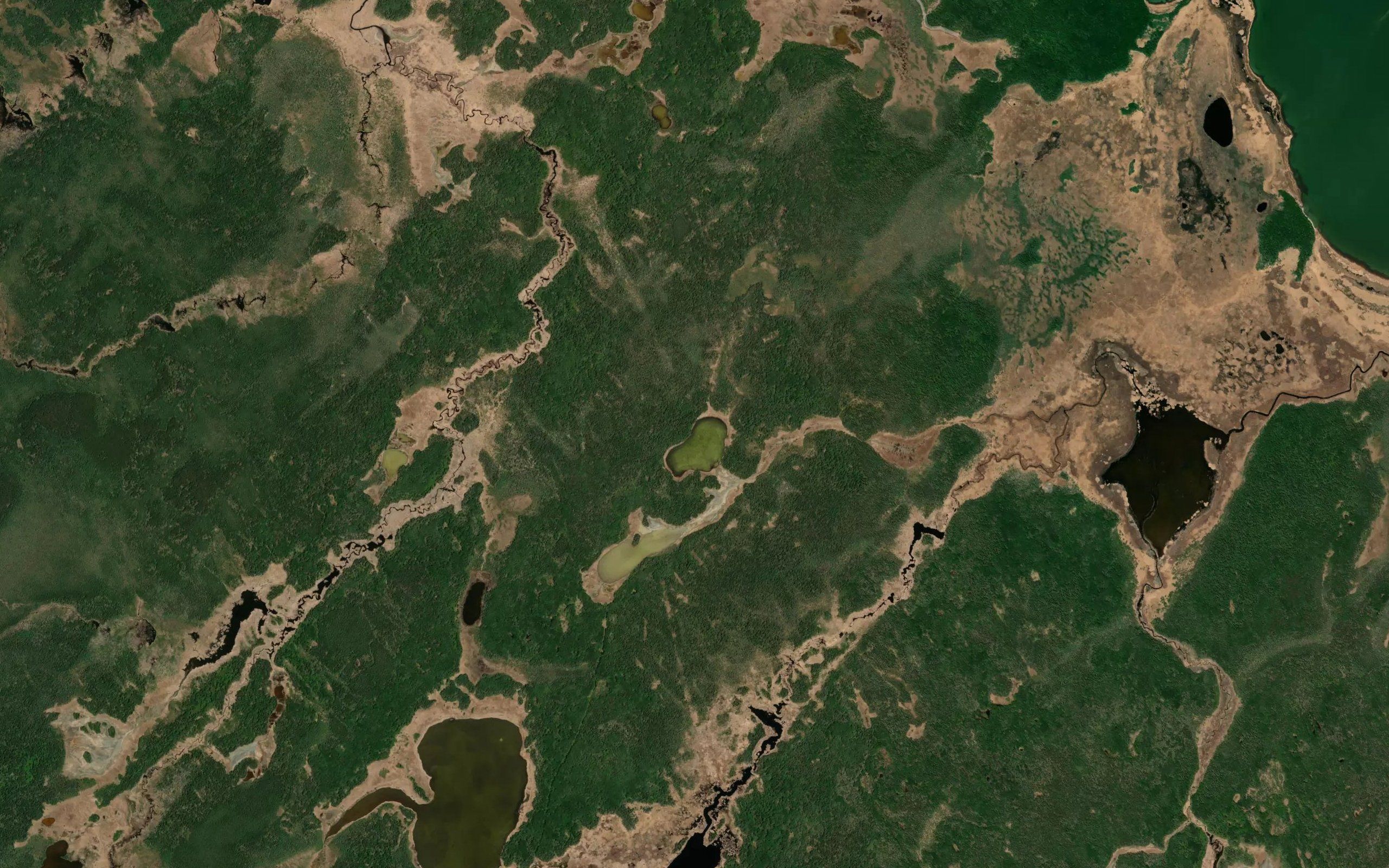 Wolf Lakes