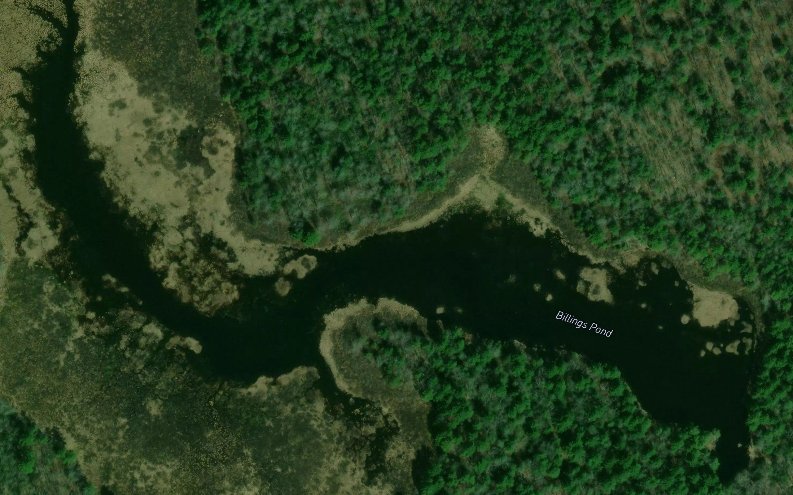 Billings Pond