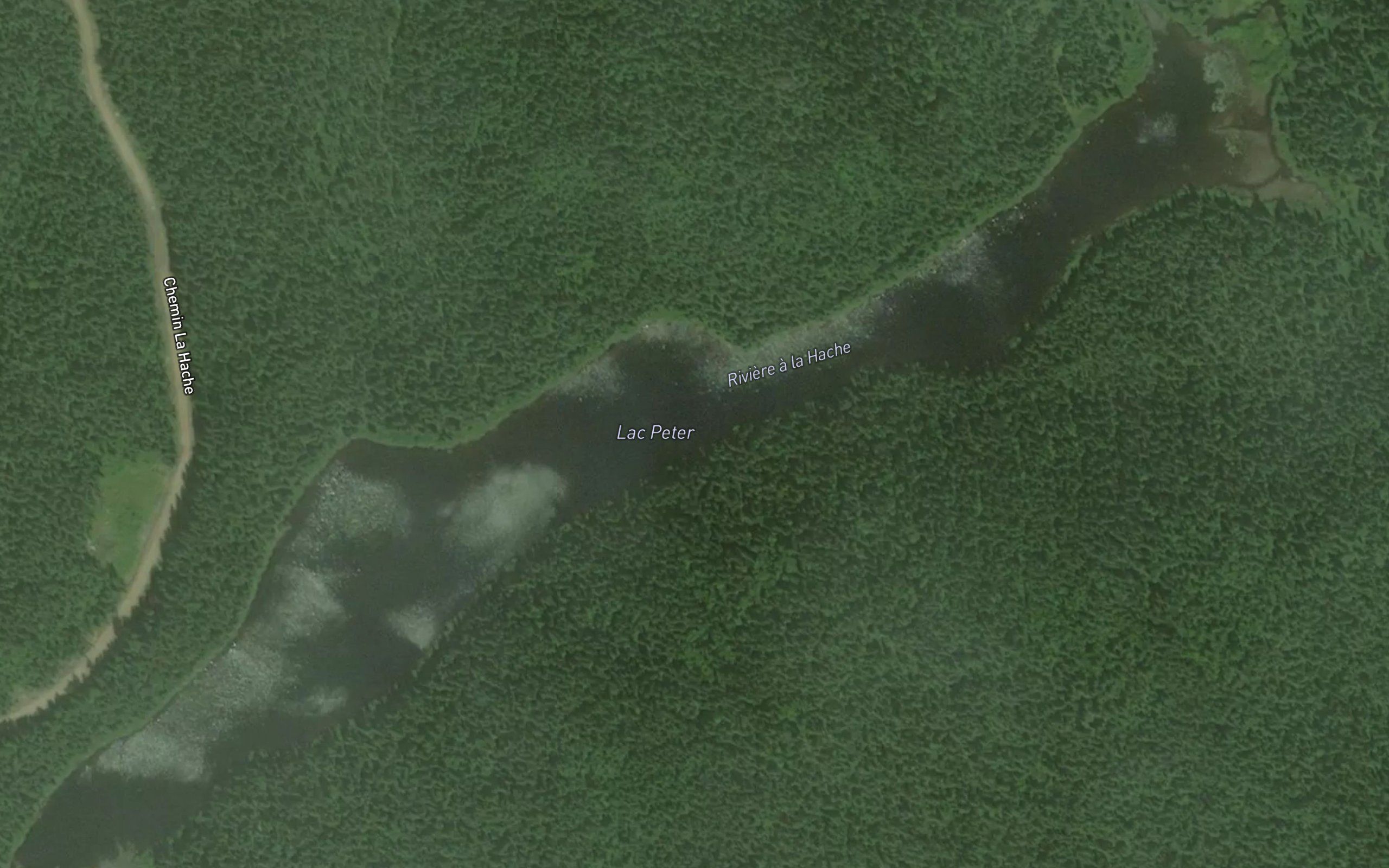 Lac Peter