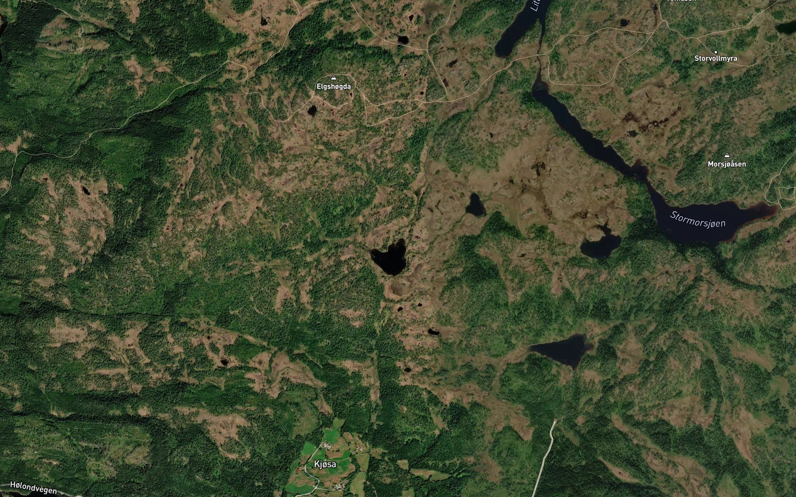 Damtjorna