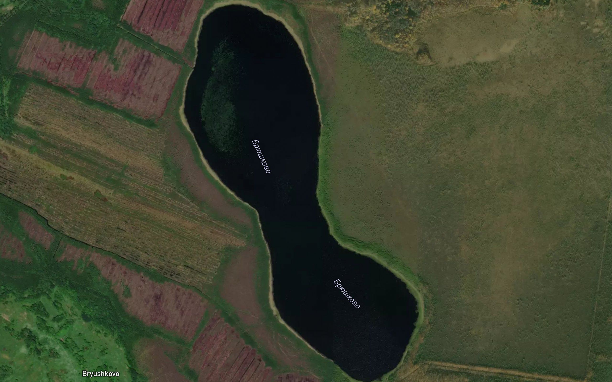 Ozero Bryushkovo