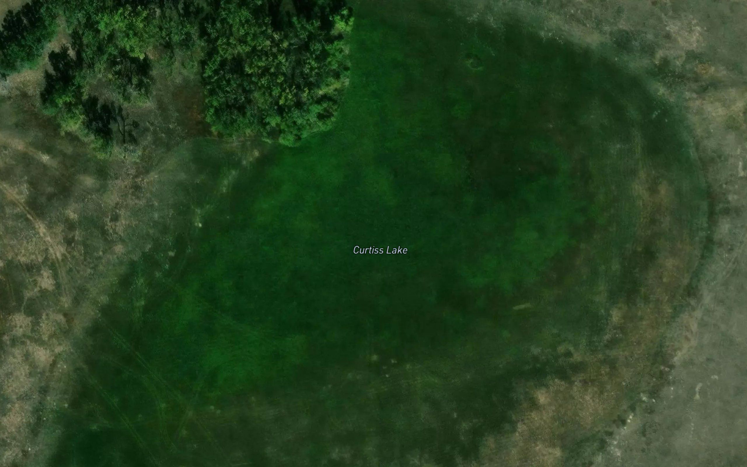 Curtiss Lake
