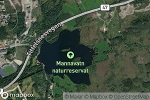 Mannavatnet