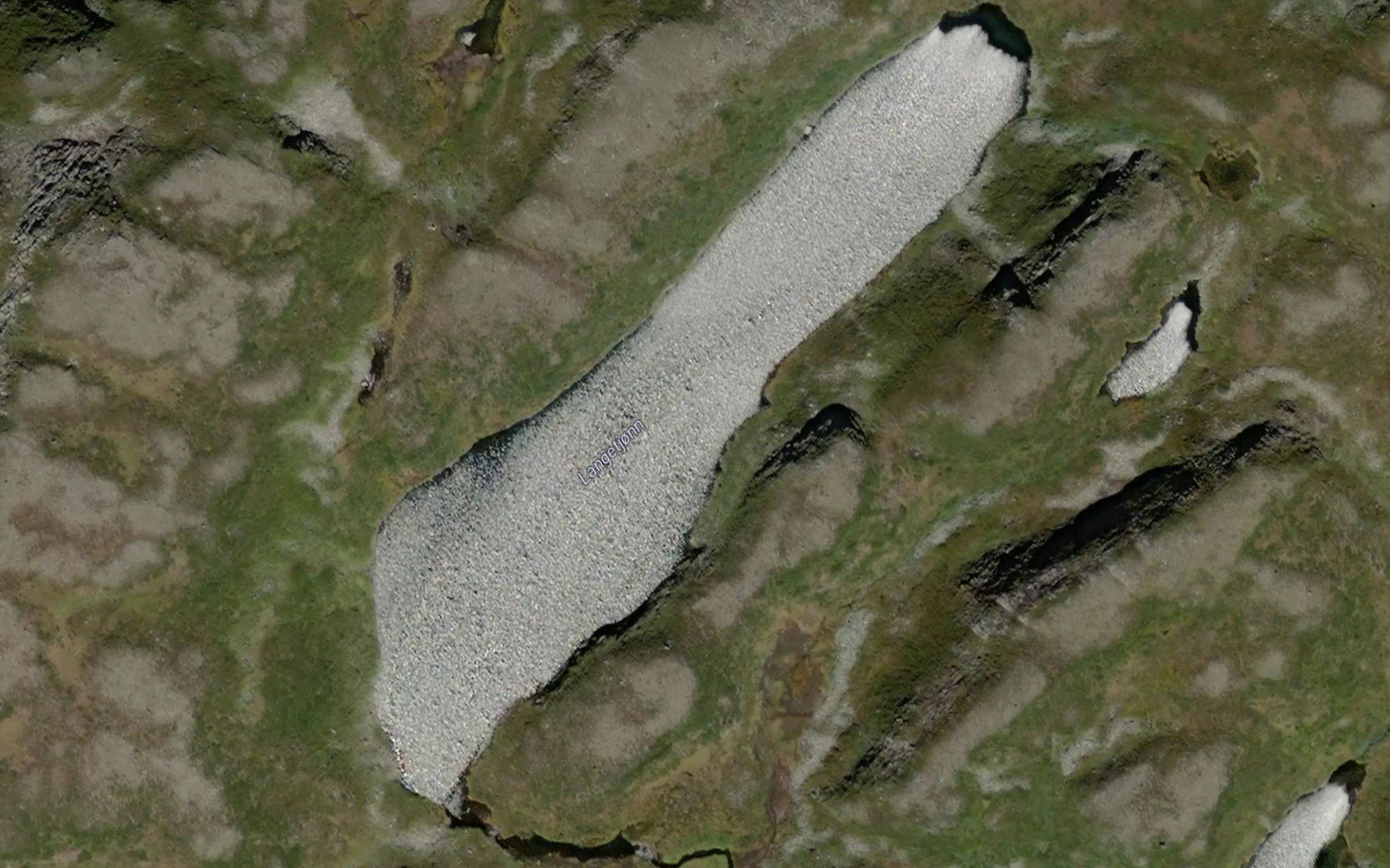 Langtjorni