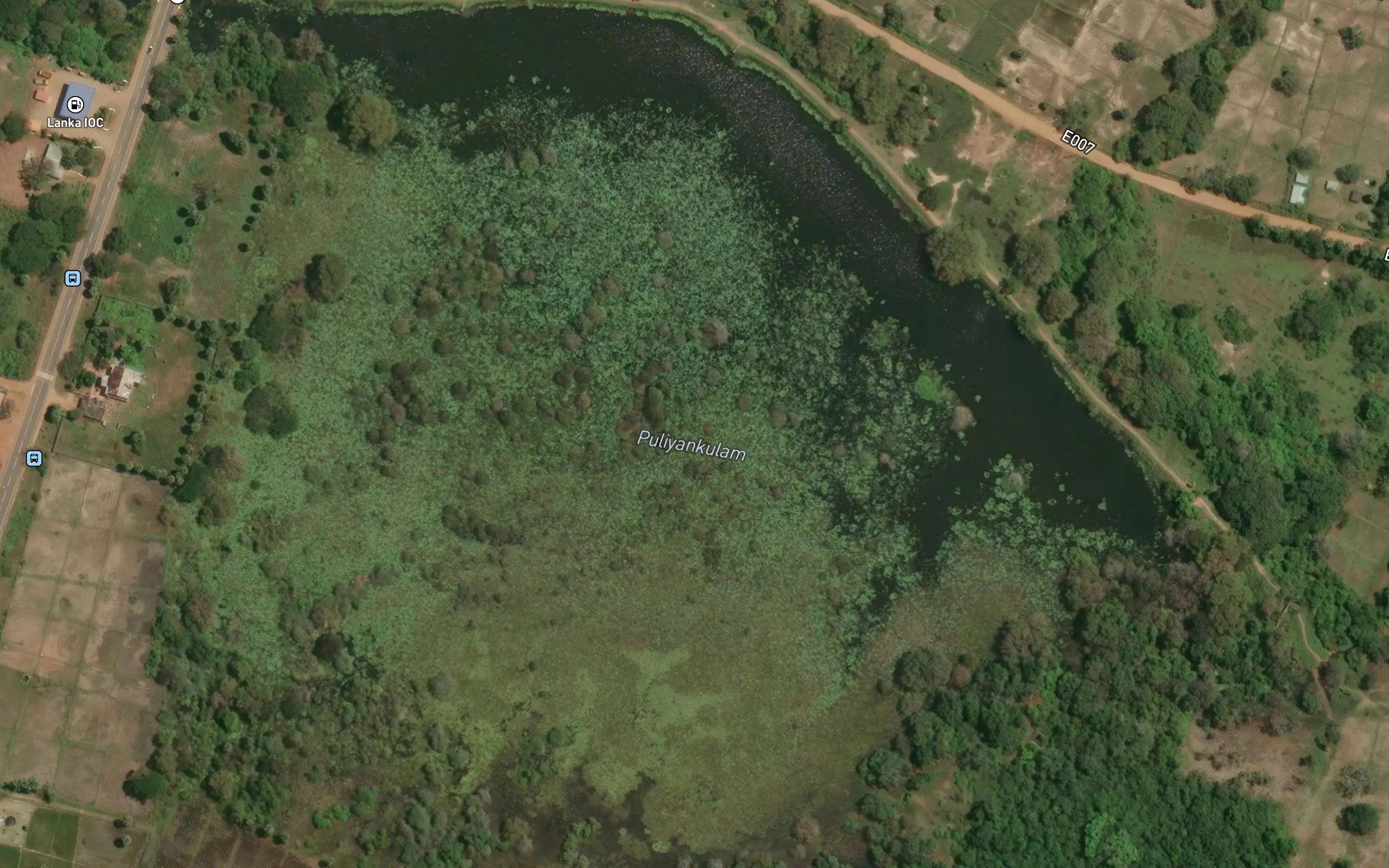 Puliyan Kulam
