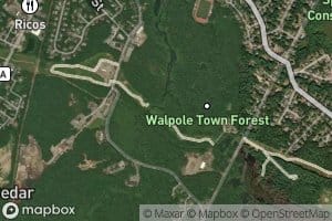 School Meadow Brook