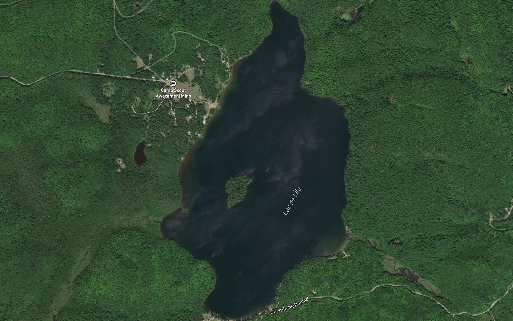 Satellite map of the Lac de l'Ile