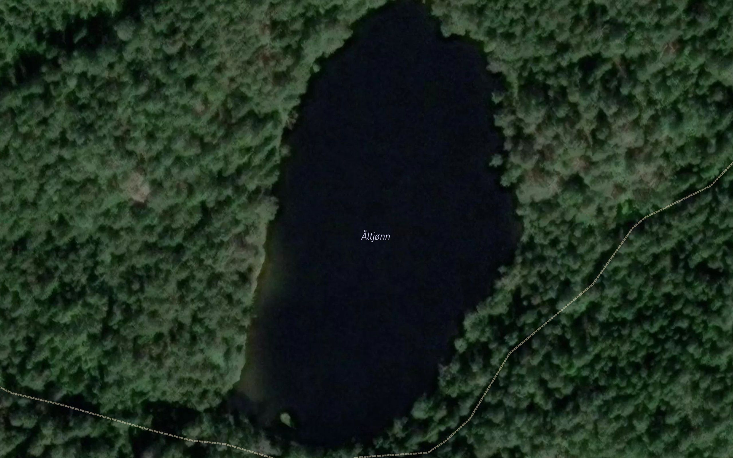 Altjonn