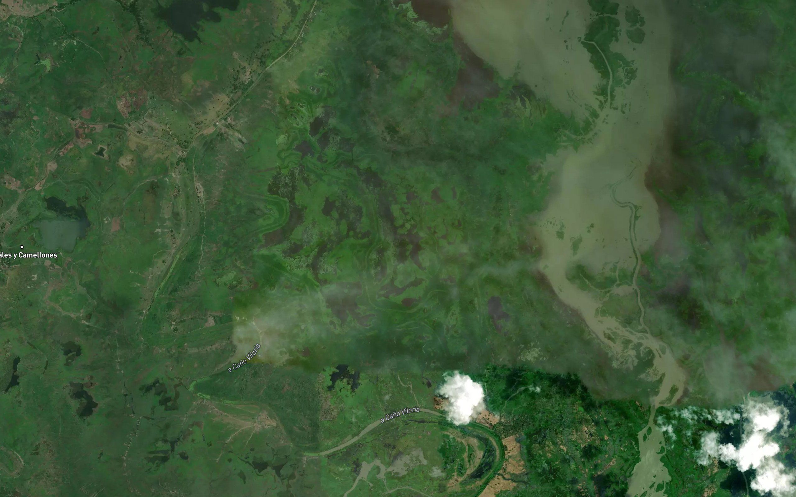 Cienaga Los Palitos