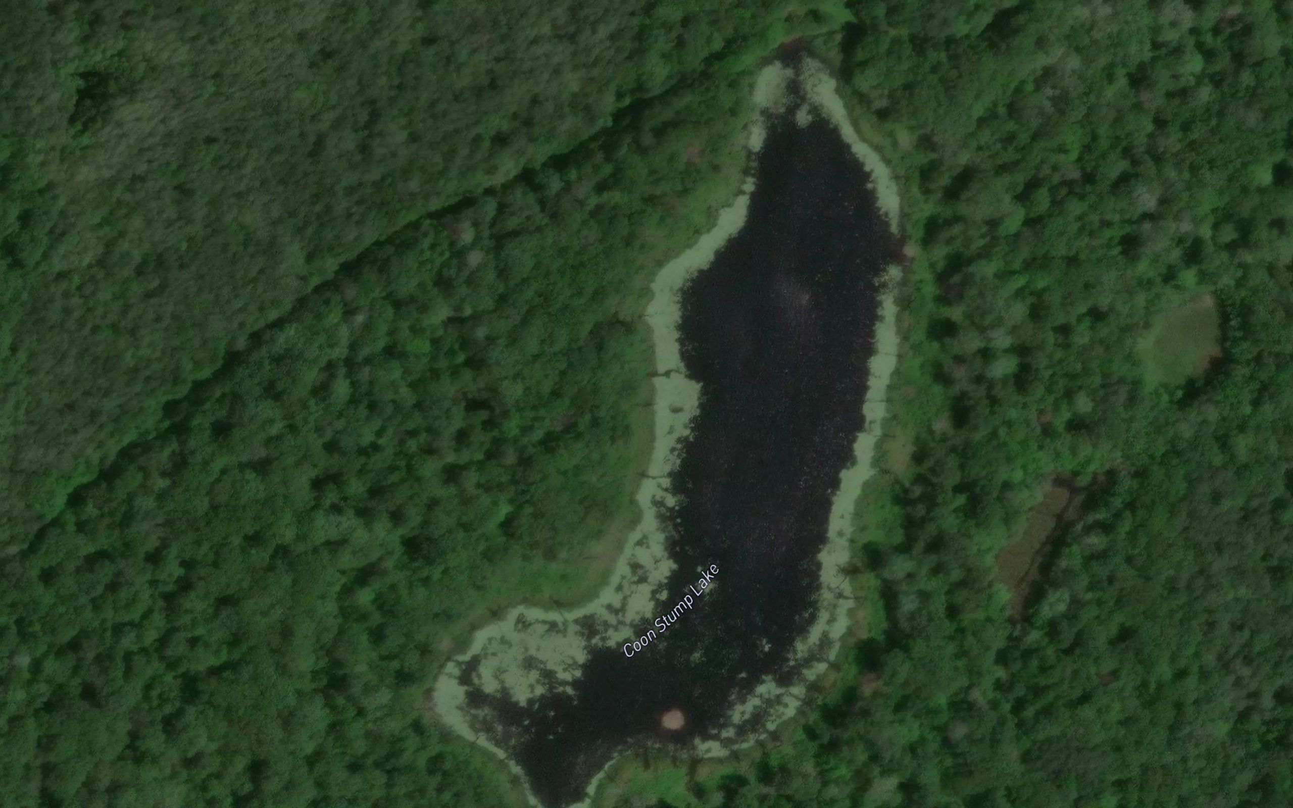 Coon Stump Lake