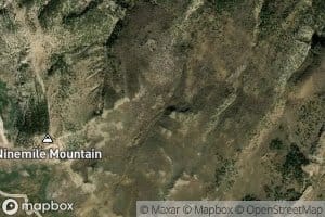 Middle Parker Spring