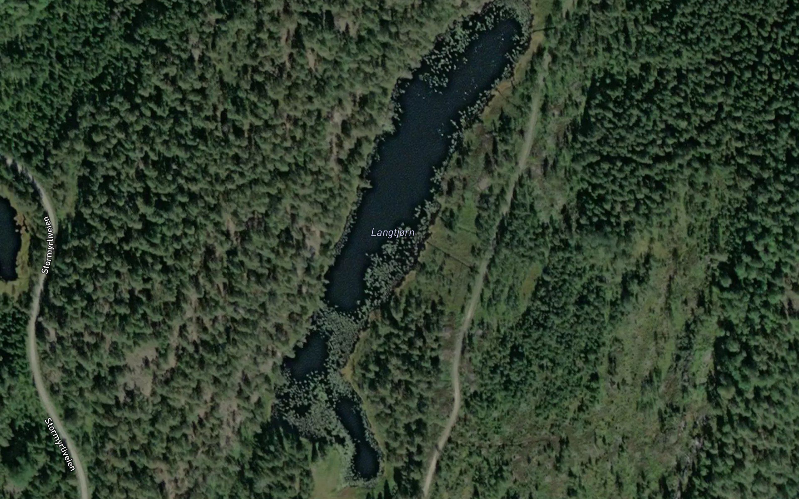 Langtjorn