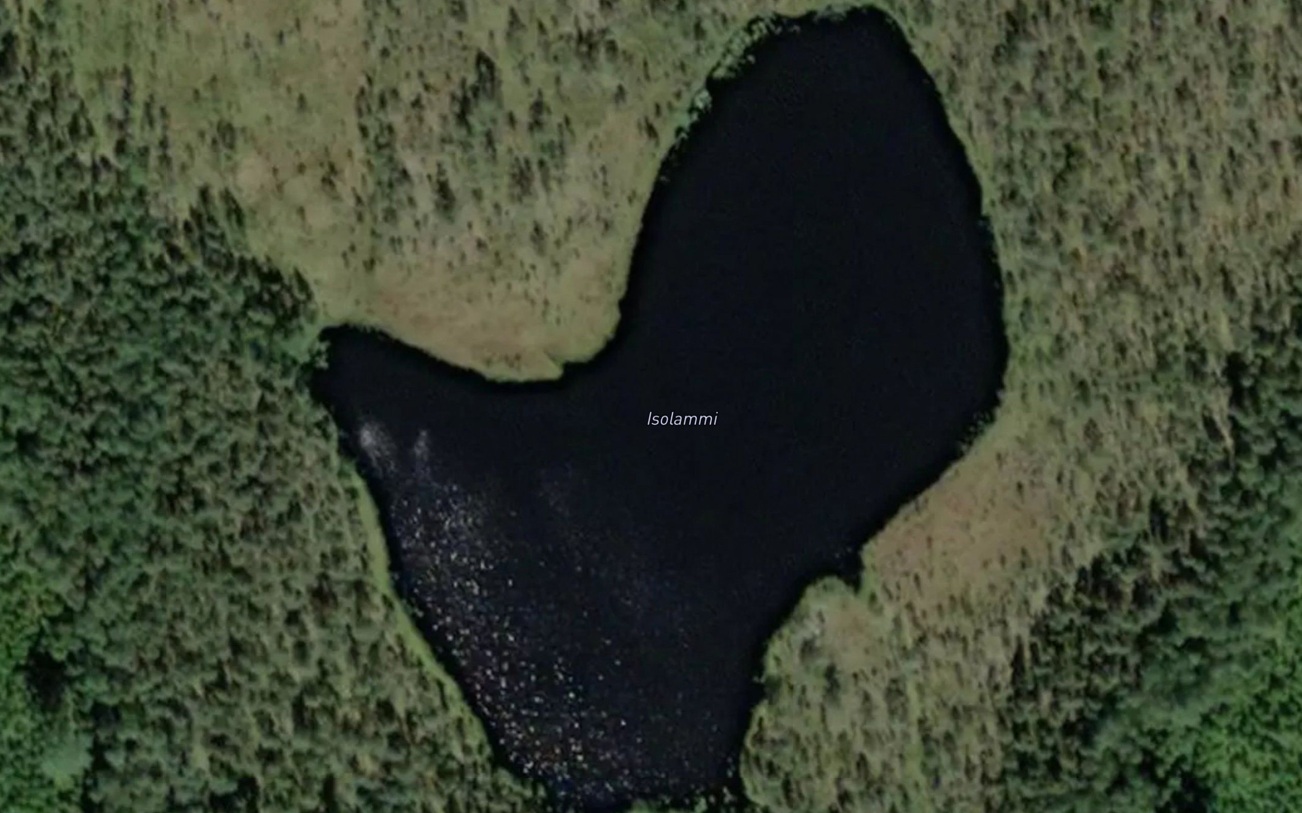 Isolammi