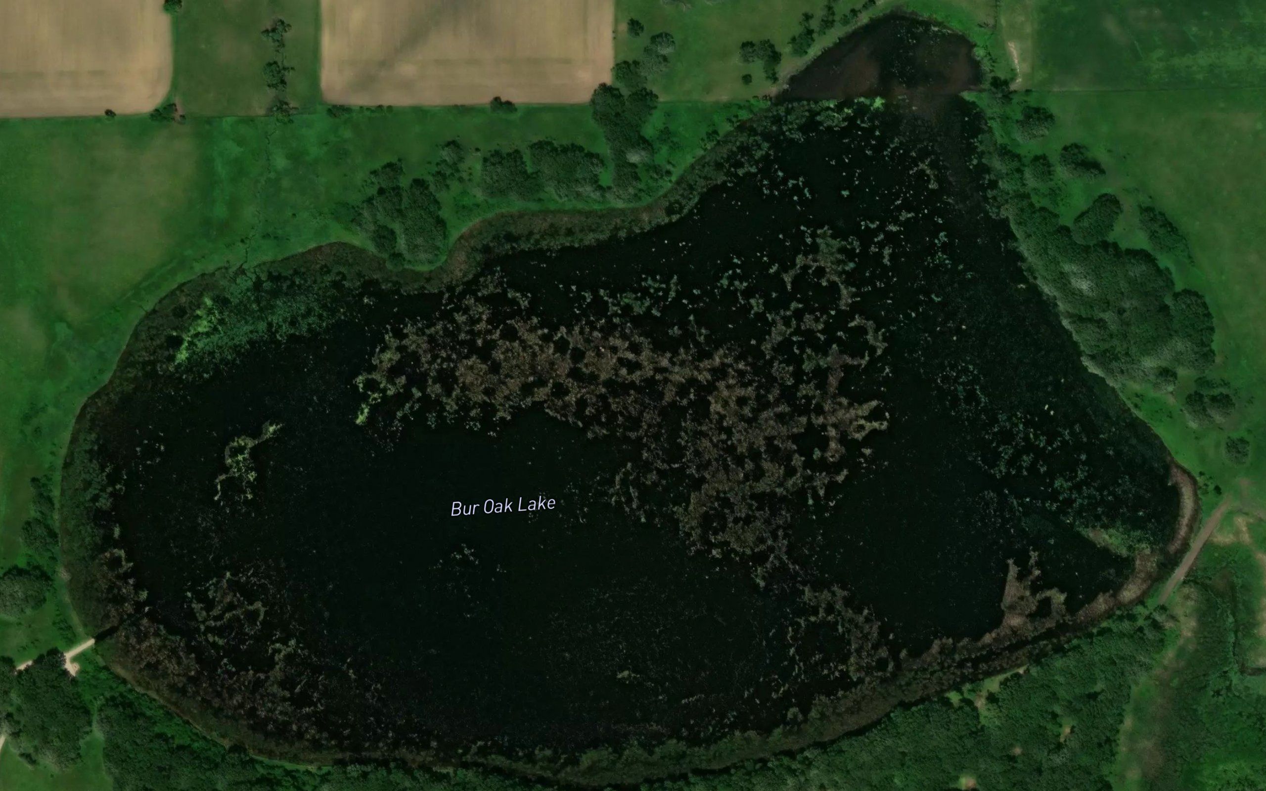 Bur Oak Lake