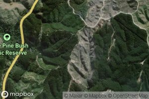 Rauwirikokomuka Stream