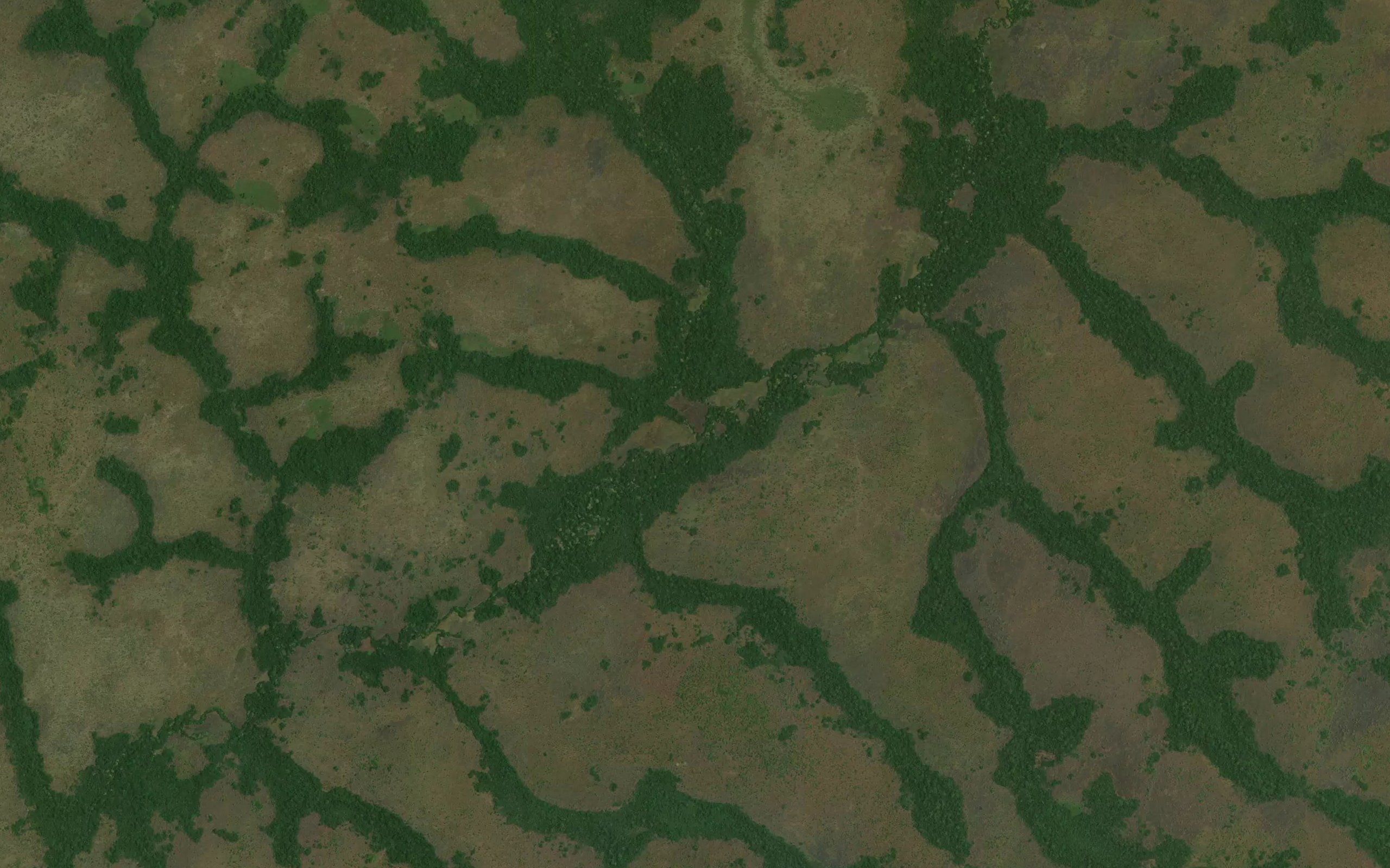 Pundju